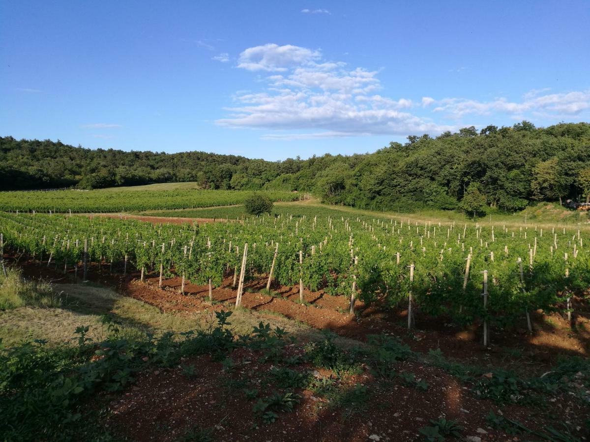 Agriturismo Ostrouska Sgonico Buitenkant foto